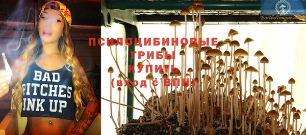 дмт Медвежьегорск