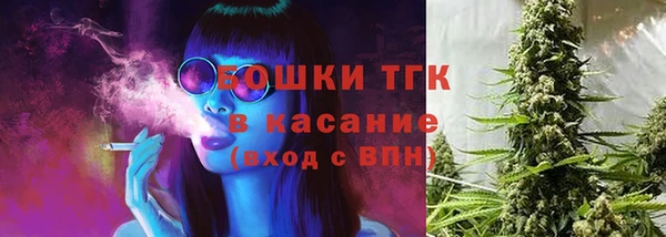 дживик Балахна