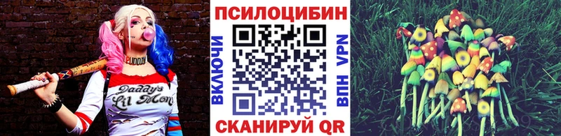 Галлюциногенные грибы GOLDEN TEACHER  где купить наркоту  Бирюсинск 